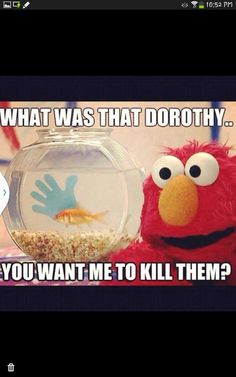 the sesame character is next to a fish bowl with his handprints on it and says, what was that dorothy you want? you want me to kill them?