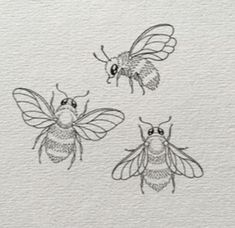 three bees are drawn on paper with black ink, and one is in the process of being