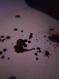 a close up view of some black and brown substance on a white surface with small dots