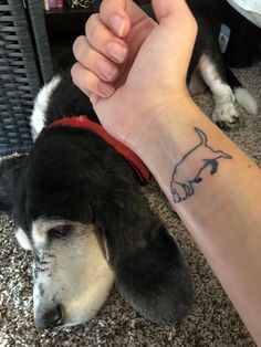 a dog laying on the floor with its owner's arm