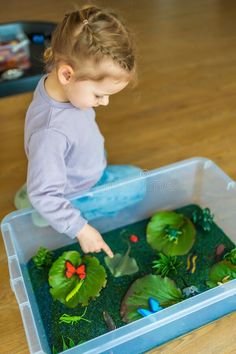 Little girl playing in handmade swamp of green-dyed chia seeds with insect, fish and plant models. Sensory development royalty free stock photograph Sensory Development, Girls Play, Chia Seeds, Chia, Insects, Seeds