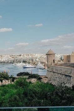 a view of the city and harbor from an overlook point