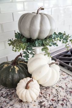 three white pumpkins sitting on top of a counter