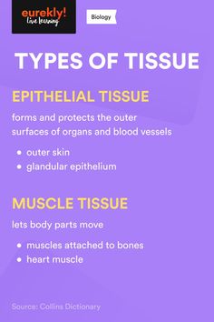 the different types of tissues and their functions are shown in this info sheet with text