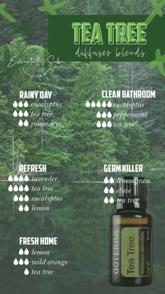 Tea Tree Diffuser Blends, Doterra Tea Tree, Melaleuca Essential Oil, Doterra Diffuser Blends, Doterra Essential Oils Recipes, Essential Oil Remedy, Young Living Essential Oils Recipes