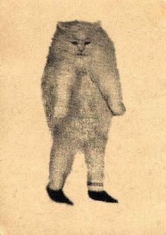 an old photo of a cat standing on its hind legs