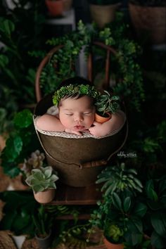 a baby is sleeping in a bucket with succulents