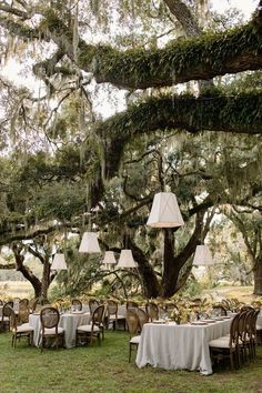 an outdoor dining area with tables, chairs and lamps hanging from the branches of trees