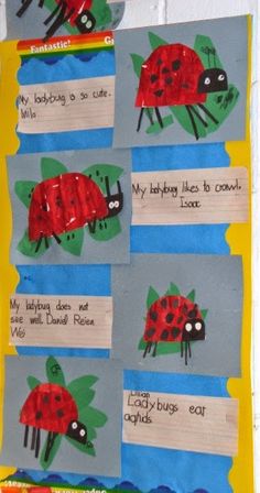 the ladybugs are made from construction paper