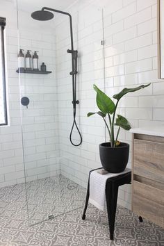 a white tiled bathroom with a black plant in the corner and a shower head mounted to the wall