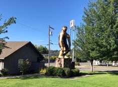 a statue of a man is in the middle of a yard with grass and trees