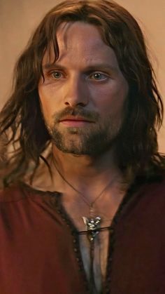 a man with long hair and beard wearing a red shirt is staring at the camera