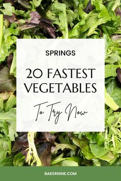 green salad with the words spring's 20 fastest vegetables to try now