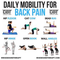 a poster showing different exercises for back pain