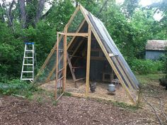 a small chicken coop in the middle of a yard with a ladder to climb up