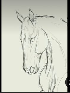 a drawing of a horse is shown in black and white