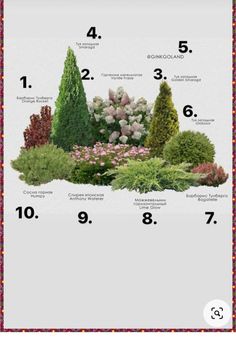 a garden with different types of trees and shrubs on it's sides, including the numbers