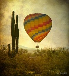 a colorful hot air balloon flying over a cactus