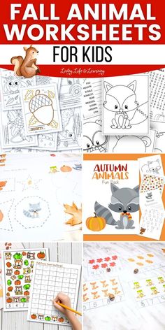 fall worksheets for kids with pictures and text that reads, fall animal worksheets for kids