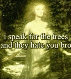 #loraxshit #treehugger #tree #pinterest I Speak For The Trees, Tumblr Vibes, Angelcore Aesthetic, Dearly Beloved, Aesthetic Tumblr, What’s Going On