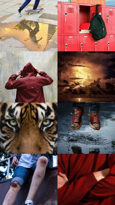 a collage of photos with people and animals in them, including a tiger's head