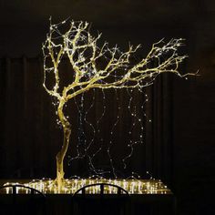 a lighted tree on top of a table