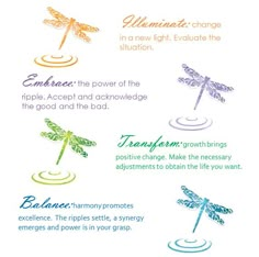 four different types of dragonflys on a white background with the words, elements and symbols