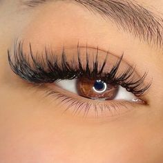 Eyelash Extensions Eyeliner Effect, Lash Extensions Inspo Cat Eye, Cat Eye Lash Extensions With Bottom Lashes, Open Eye Cat Eye Lash Extensions, Whisky Cat Eye Lash Extensions, Lash Kit, Evening Eye Makeup