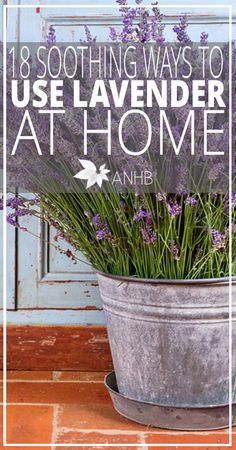 18 Soothing Ways to Use Lavender at Home - All Natural Home and Beauty #lavender #health All Natural Home, Herb Garden Design, Unique Bouquet