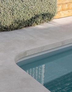 an empty swimming pool next to a wooden fence and shrubbery in the back yard