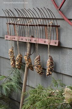 some pine cones hanging from a rack on the side of a house