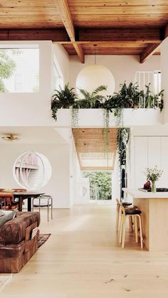 a living room filled with lots of furniture and plants on the wall above it's windows