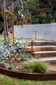 an outdoor area with steps and plants in the foreground