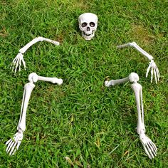 two skeletons sitting in the grass with coins scattered around them and one skeleton is laying on the ground