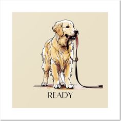 a drawing of a golden retriever holding a leash in its mouth with the words ready on it