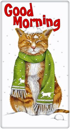 an orange and white cat wearing a green scarf with the words good morning on it