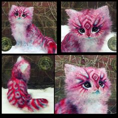 four different pictures of a pink cat with blue eyes and whiskers on it's fur