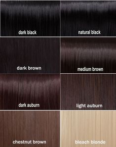 Black Hair Color Chart, Brown Hair Chart, Brown Black Hair Color, Brown Hair Color Chart, Hair Chart, Dark Chocolate Brown Hair, Platinum Hair Color, Black Brown Hair, Brown Hair Shades