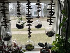 some plants are hanging from a window sill