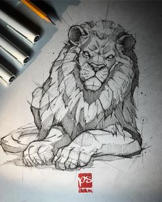 a pencil drawing of a lion laying down