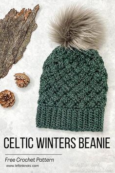 a knitted beanie with a pom - pom on top and two pine cones