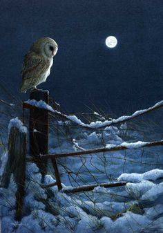 an owl sitting on top of a fence post in the snow at night with a full moon behind it