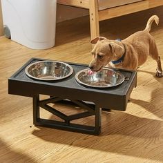 a brown dog standing next to two bowls on top of a table