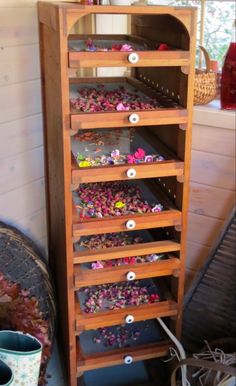 a wooden shelf filled with lots of different types of flowers and seeding plants next to a window