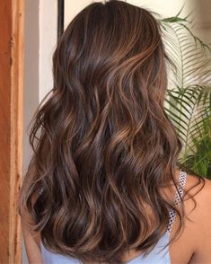 Medium Brown With Auburn Highlights, Brown Hair Colors Dark Roots, Sun Kissed Brown Hair Short, Brunette With Sun Kissed Highlights, Brunette Warm Highlights, Brown Partial Highlights, Sun Kissed Dark Brown Hair, Brown Hair Colors Fall, Bronze Highlights On Brown Hair