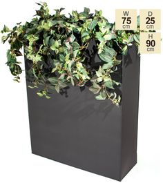 a planter with green leaves is shown in front of a white background and measurements