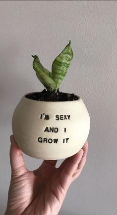 Ceramic Business, Pottery Plant Pots, Planters Ceramic, Sassy Sayings, Plant Puns, Plant Pot Design, Plant Pot Diy, Painted Pots Diy, Handmade Planter