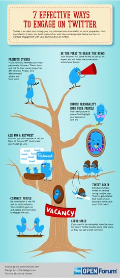 an info poster showing the different types of twitters and what they mean them to be