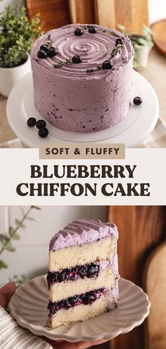 two different types of blueberry chiffon cake on plates with the words soft and fluffy