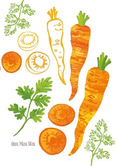 an image of carrots and other vegetables drawn in watercolor on paper with ink